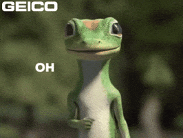 Oh My Omg GIF by GEICO