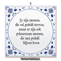 Wijsheid Leven Sticker by Tegelspreuken.nl