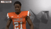 Cnfb GIF by Carson-Newman Athletics