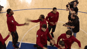 high five lebron james GIF by NBA