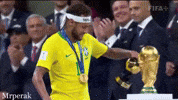 World Cup Football GIF