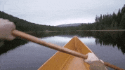 Oregon GIF by 50statesproject