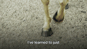 Season 1 Ff GIF by Freeform