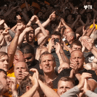 Premier League Football GIF by Wolves
