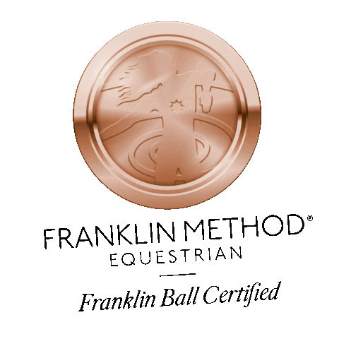 Paardenmiep franklin method equestrian franklin method paard en miep paardenmiep Sticker