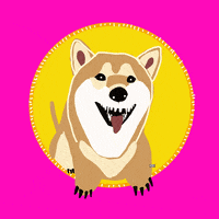 Elon Musk Dog GIF