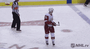 angry ice hockey GIF by NHL