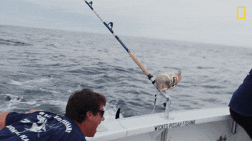 Wicked Tuna Fishing GIF by National Geographic Channel
