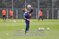 GIF by #FCDK