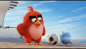 kick GIF by Angry Birds