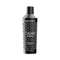 Caviar Sticker by Selective Pro Türkiye