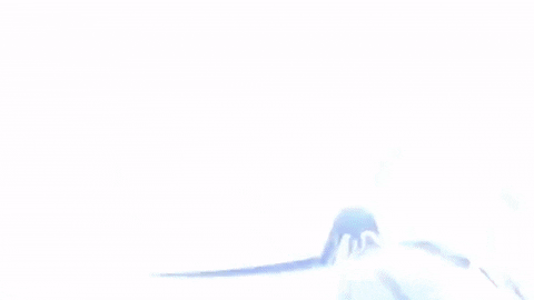 topshelf records prawn GIF