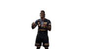 Handball Dunkerque Sticker by USDK