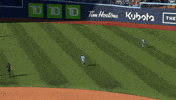 Blue Jays Baseball GIF by Toronto Blue Jays