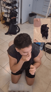 Cat Instagram GIF