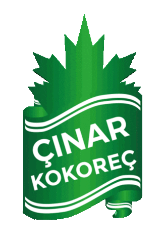 cinarkokorec giphyupload Sticker