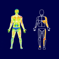 thermohuman thermal thermo termografia thermography GIF