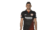 bayer leverkusen kiss Sticker by Bundesliga