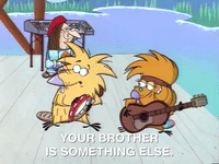 nickrewind nicksplat angry beavers GIF