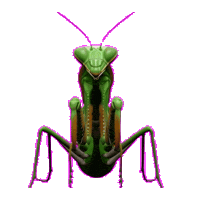 Insect Sticker by Database數據