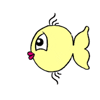 fish GIF