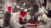 ligue 1 football GIF by AS Monaco