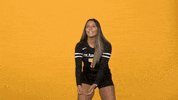 Sport College GIF by Cal State LA Golden Eagles