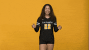 Volleyball GIF by Cal State LA Golden Eagles