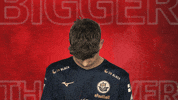 Hansa Rostock Vbl GIF by Bundesliga