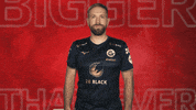 Hansa Rostock Vbl GIF by Bundesliga