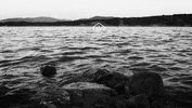 black and white art GIF by Okkult Motion Pictures