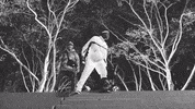 sheck wes GIF by Interscope Records