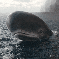 Sad One Piece GIF by NETFLIX