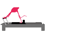 Fitness Workout Sticker by Boom Pilates