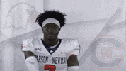 Carson Newman Football GIF by Carson-Newman Athletics