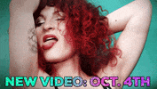 BonsaiKitten love music video kitten GIF