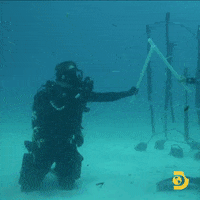 Williamshatner GIF by Shark Week