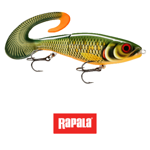 Fishing Sticker by Rapala