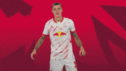 Sport Celebration GIF by RB Leipzig