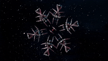 Star Wars Christmas GIF by LEGO