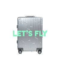 Take Off Travel Sticker by Gundel Koffer