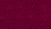 beeldmotion cinema 2d adobe seat GIF
