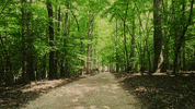 Camp Nox GIF by Nox Holloway