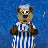 Bundesliga Berlin GIF by Hertha BSC