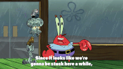 season 9 GIF by SpongeBob SquarePants