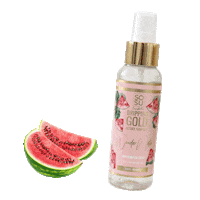 Watermelon Sosu Sticker by SOSUbySJ