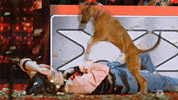 Season 16 GIF by America's Got Talent