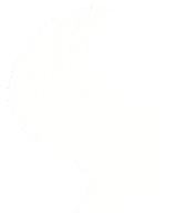 illustration coffee Sticker by Nazaret Escobedo