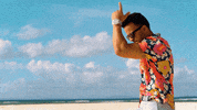 stefflon don calypso GIF by LuisFonsi
