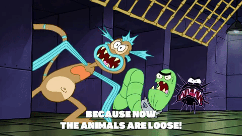 season 9 safe deposit krabs GIF by SpongeBob SquarePants